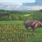 Acting out: Граничното растројство на личноста (4)